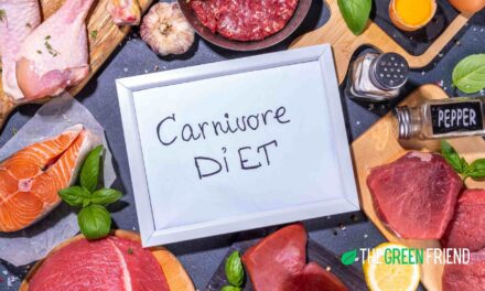 A Journey to the Carnivore Diet: My Unexpected Experience