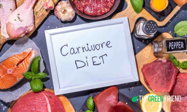 A Journey to the Carnivore Diet: My Unexpected Experience